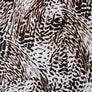 ANIMAL LEOPARD PRINT COTTON POPLIN THE DRESSMAKER FABRICS SUMMER FABRIC ECO