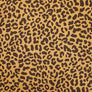 BRUSHED FRENCH TERRY JERSEY ORANGE 95% COTTON 5% ELASTANE 148cm WIDE 225 GRM