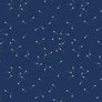 RILEY BLAKE- BLENDER - PIN DROP - 100% COTTON - RANGE OF COLOURS