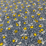 FLOWER PATCH - 100% COTTON