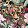 STOF OF DENMARK -
AVALANA VISCOSE JERSEY
TIGER JUNGLE EYES PANTHER LARGE PRINT
THE DRESSMAKER FABRICS