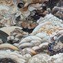 QUILT BACKING - EXTRA WIDE
108" WIDE
NAMI BROWN BRONZE
100% COTTON
THE DRESSMAKER FABRICS
QUILTING