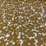 SILHOUETTE BLOOM - OCHRE COTTON POPLIN 100% COTTON