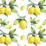 PETITE LEMONS LEMON 0N WHITE 100% COTTON 150cm WIDE