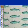 SARDINES 100% COTTON