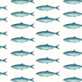 SARDINES 100% COTTON