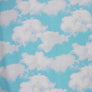 CLOUDS DIGITAL PRINT - LITTLE JOHNNY COTTON JERSEY - 98% COTTON 2% ELASTANE 150cm WIDE