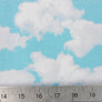 CLOUDS COTTON JERSEY BY LITTLE JOHNNY
