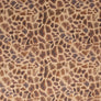 GIRAFFE ANIMAL PRINT, UPHOLSTERY GRADE VELVET 100% POLY 150cm WIDE