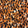 JOHN KALDOR PORTIA JERSEY 5054 - ORANGE 95% POLYJOHN KALDOR PORTIA JERSEY 5054 - ORANGE 95% POLY 5% ELASTANE 150cm WIDE 5% ELASTANE 150cm WIDE