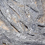 JOHN KALDOR - TOCCA CORDED LACE - FULL RANGE OF COLOURS