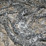 JOHN KALDOR - TOCCA CORDED LACE - FULL RANGE OF COLOURS