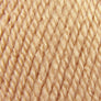 STYLE CRAFT SPECIAL DOUBLE KNIT (DK) WOOL