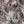 ANIMAL LEOPARD PRINT COTTON POPLIN THE DRESSMAKER FABRICS SUMMER FABRIC ECO