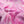 LUNA GALAXY COTTON JERSEY
THE DRESSMAKER FABRICS 
KIDS COTTON JERSEY 
DRESSMAKING