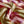 SILKY SATIN LINING ABSTRACT DESIGN 
THE DRESSMAKER FABRICS 
DRESSMAKING 
FABRIC GODMOTHER - THE FABRIC BOUTIQUE 
SEW ME SUNSHINE 