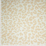 ANIMAL PRINT CANVAS 
100% COTTON
THE DRESSMAKER FABRICS 
WORKWEAR 
AMERICAN 
DRESSMAKING 