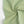 WATERCOLOUR WOVENS JASPER
FABLEISM
THE DRESSMAKER FABRICS
QUILTING PATCHWORK
COTTON DIGITAL PRINT
DRESSMAKING