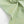 WATERCOLOUR WOVENS JASPER
FABLEISM
THE DRESSMAKER FABRICS
QUILTING PATCHWORK
COTTON DIGITAL PRINT
DRESSMAKING