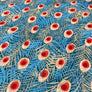 PIMA COTTON LAWN PEACOCK FEATHERS  COTTON LAWN  100% COTTON 150cm WIDE