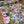 WATERCOLOUR MEADOW - AVALANA COTTON JERSEY BY STOF OF DENMARK