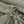 COTTON ELASTANE
DESIGNER DEADSTOCK
THE DRESSMAKER FABRICS
ONE WAY STRETCH
DRESSMAKING
ANIMAL PRINT LEOPARD
TROUSER FABRIC