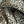 COTTON ELASTANE
DESIGNER DEADSTOCK
THE DRESSMAKER FABRICS
ONE WAY STRETCH
DRESSMAKING
ANIMAL PRINT LEOPARD
TROUSER FABRIC
