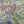 BOHEMIAN PAISLEY VISCOSE 100% VISCOSE 150cm WIDE