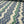 DESIGNER DEADSTOCK - CROCHET STYLE FABRIC