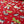 HENRY GLASS A KITTY FOR CHRISTMAS
QUILTING QUILTERS COTTON
FESTIVE XMAS
THE DRESSMAKER FABRICS