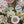 JAPANESE ISUMI COTTON
