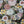 JAPANESE ISUMI COTTON