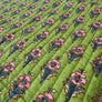 INDIAN BLOCK PRINT 100% COTTON 
PRE QUILTED FABRIC DOUBLE SIDED 
DRESSMAKER SUMMER FABRIC 
FABLEISM
THE DRESSMAKER FABRICS 
QUILTING PATCHWORK
DRESSMAKING 
MERCHANT & MILLS 
ECO FABRIC 
