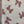 COATING JACKET FABRIC
BOW DESIGN CREAM SPERPA FLOWER FLORAL
WINTER AUTUMN FABRIC
DRESSMAKING SEWING
THE DRESSMAKER FABRICS