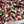 VERY BERRY 100% COTTON