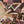 FOLKLAW BLOOM KIMBERLEY HIND
AUTUMN DRESSMAKING
THE DRESSMAKER FABRICS
LEIGH ON SEA
SUMMER HOLIDAY FABRIC
VISCOSE
100% VISCOSE
150cm WIDE