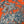 DIGITAL PRINT VELVET ORANGE PALM
100% POLY
THE DRESSMAKER FABRICS
CURTAINS BLINDS