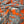 DIGITAL PRINT VELVET ORANGE PALM
100% POLY
THE DRESSMAKER FABRICS
CURTAINS BLINDS