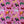 A close-up of a pink fabric with a repeating Christmas dog pattern, featuring various dog breeds in holiday outfits like Santa hats, scarves, and boots, some riding skates or carrying gifts.