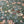 WILLIAM MORRIS STRAWBERRY THIEF DIGITAL PRINTED VELVET. FOREST GREEN. THE DRESSMAKER FABRICS. UPHOLSTRY CURTAINS FURNISHINGS