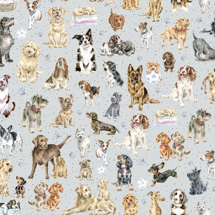 MAYWOOD STUDIOS 
WHISKERS & PAWS 
THE DRESSMAKER FABRICS 
QUILTING QUILTERS PATCHWORK 
CATS DOGS ANIMALS PETS 