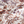 FLORAL COTTON POPLIN