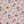 FLORAL COTTON POPLIN