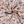 FLORAL COTTON POPLIN