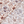 FLORAL COTTON POPLIN