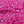 PINK LEOPARD COTTON VOILE
SUMMER FABRIC
DRESSMAKING
100% FINE COTTON POPLIN
FABRIC GODMOTHER
THE DRESSMAKER FABRICS
SEWING BEE