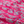PINK ELEPHANT COTTON VOILE
SUMMER FABRIC
DRESSMAKING
100% FINE COTTON POPLIN
FABRIC GODMOTHER
THE DRESSMAKER FABRICS
SEWING BEE