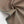 WATERCOLOUR WOVENS
FABLEISM
THE DRESSMAKER FABRICS
QUILTING PATCHWORK
COTTON DIGITAL PRINT
DRESSMAKING