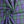 TARTAN CHECK - BLACKWATCH