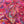 PRETTY IN PINK PAISLEY- PIMA COTTON LAWN